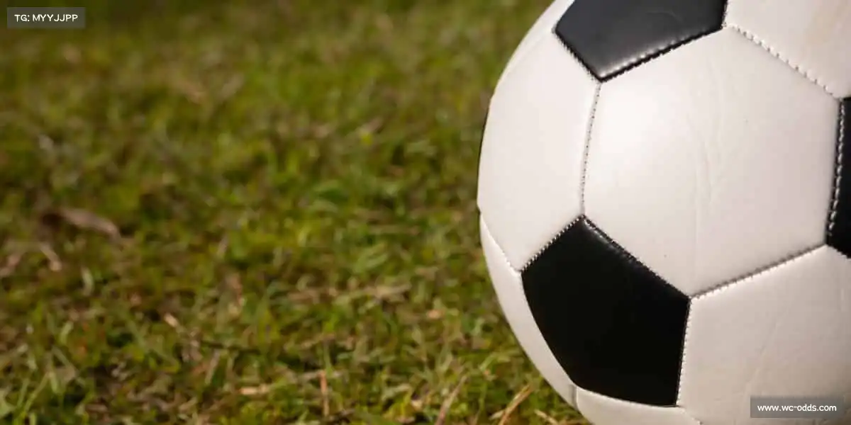 2026世界杯赔率从这里出发，解锁你的运动新可能！🌟